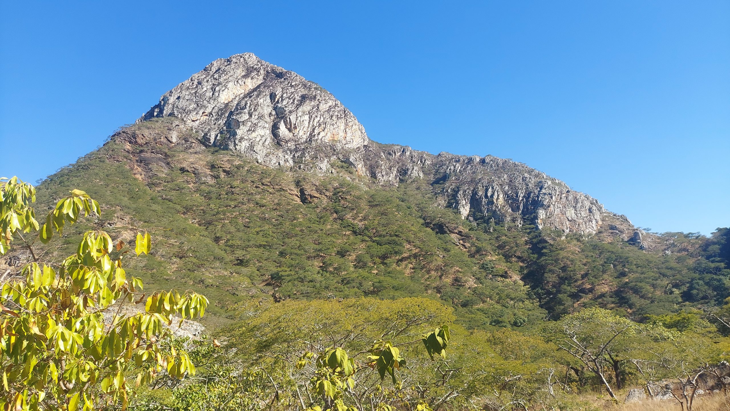 big five safari - Chimanimani