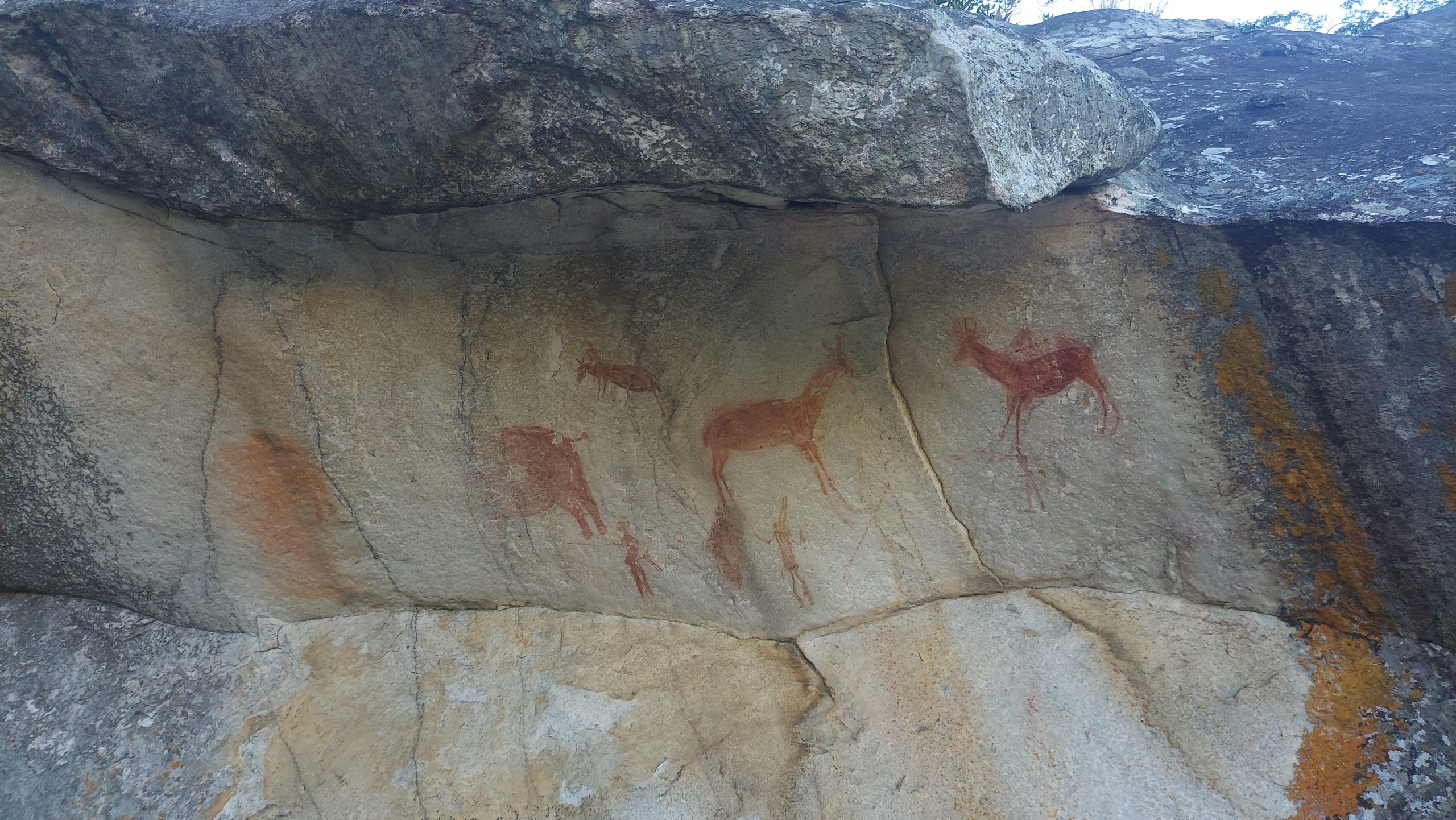 big five safari - Chimanimani Pinturas rupestres