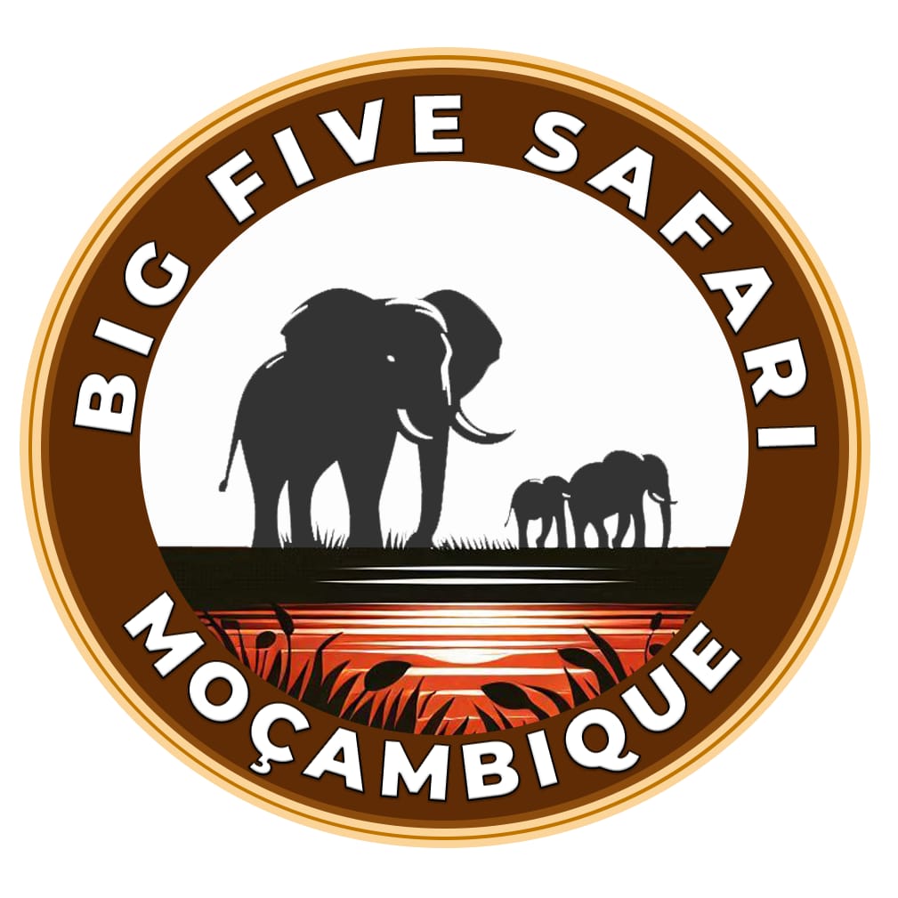 Bigfive Safari – Moçambique